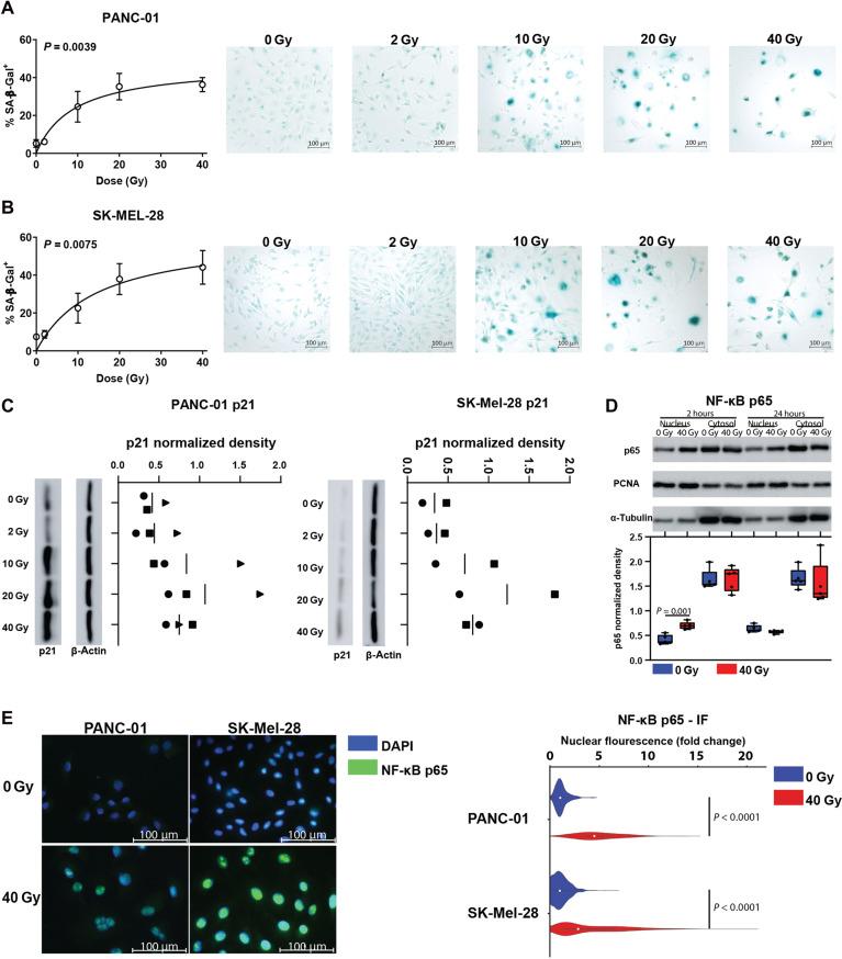 https://cdn.ncbi.nlm.nih.gov/pmc/blobs/f41f/8942354/cf1a709878a0/sciadv.abh4050-f4.jpg