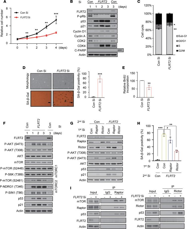 https://cdn.ncbi.nlm.nih.gov/pmc/blobs/f422/11128196/36874773e5ee/jciinsight-9-172678-g041.jpg