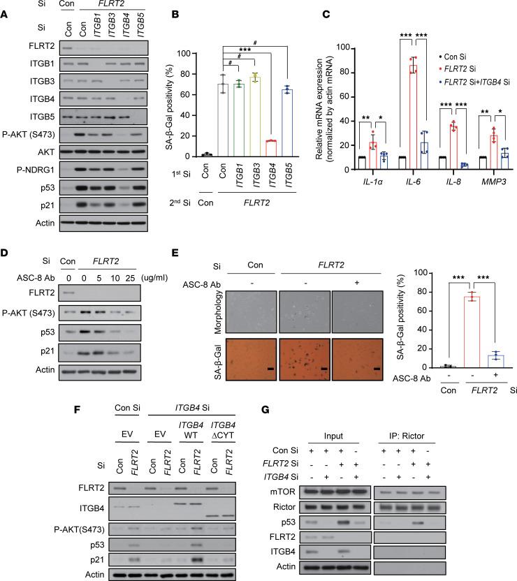https://cdn.ncbi.nlm.nih.gov/pmc/blobs/f422/11128196/e4be830569ad/jciinsight-9-172678-g043.jpg