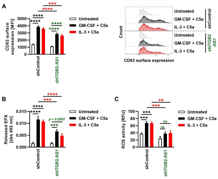 https://cdn.ncbi.nlm.nih.gov/pmc/blobs/f422/11640120/2833cfb5499a/cells-13-01936-g005.jpg
