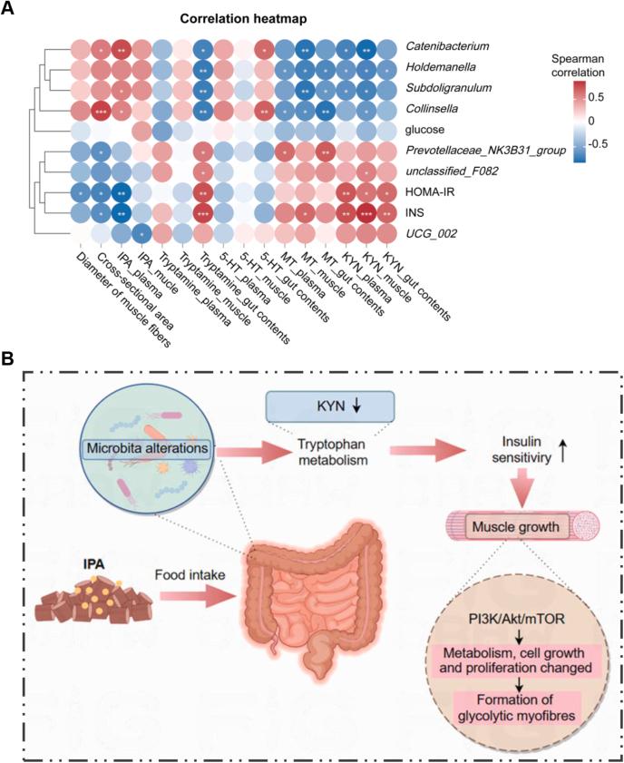 https://cdn.ncbi.nlm.nih.gov/pmc/blobs/f422/12395088/7e362755559b/gr6.jpg
