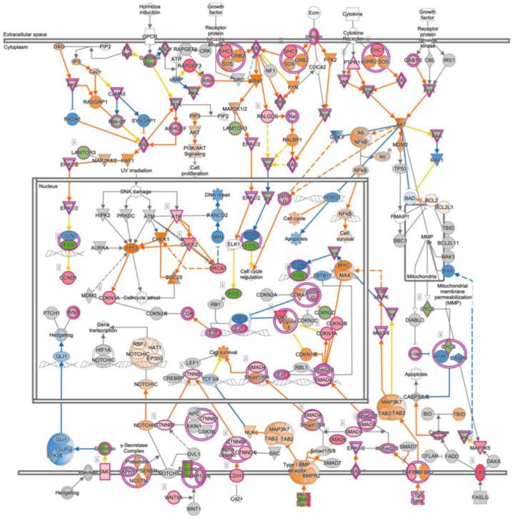 https://cdn.ncbi.nlm.nih.gov/pmc/blobs/f423/9563430/0a47266350d9/cancers-14-04926-g005.jpg