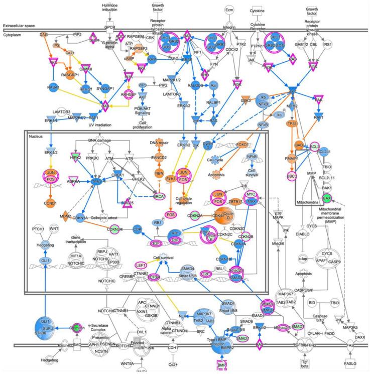 https://cdn.ncbi.nlm.nih.gov/pmc/blobs/f423/9563430/32ae8686fb0d/cancers-14-04926-g009.jpg