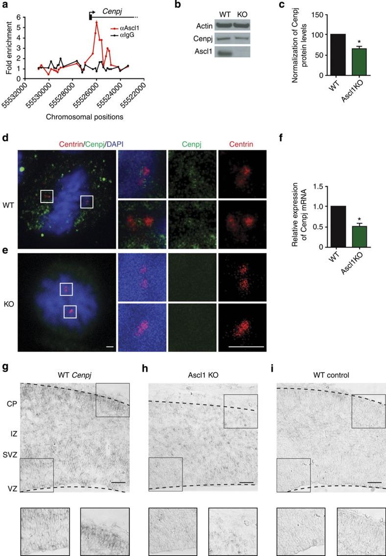 https://cdn.ncbi.nlm.nih.gov/pmc/blobs/f425/4366522/c4c52bed6f62/ncomms7474-f1.jpg