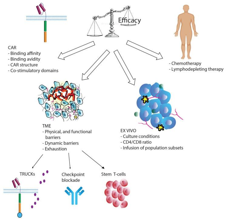 https://cdn.ncbi.nlm.nih.gov/pmc/blobs/f426/8509430/74fa7d9fb377/ijms-22-10828-g001.jpg