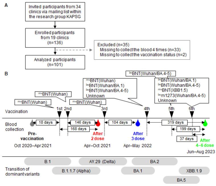 https://cdn.ncbi.nlm.nih.gov/pmc/blobs/f427/11769486/61574763c13c/vaccines-13-00090-g001.jpg