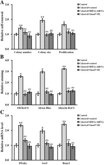 https://cdn.ncbi.nlm.nih.gov/pmc/blobs/f428/5715986/a7931b79e88e/13287_2017_724_Fig6_HTML.jpg