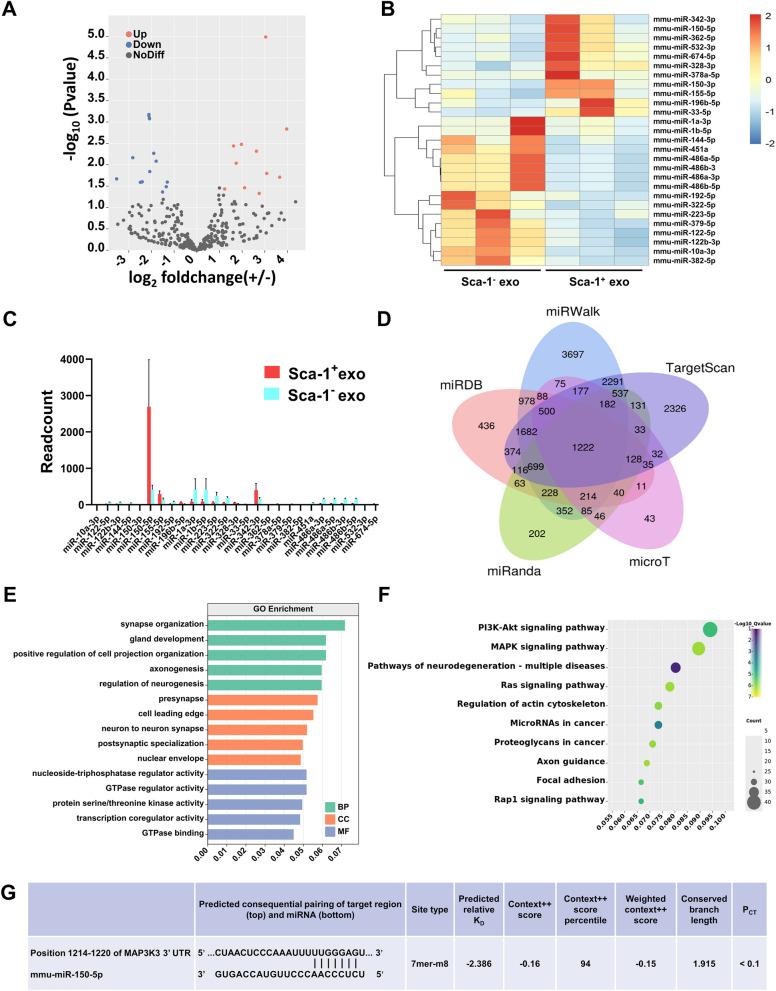 https://cdn.ncbi.nlm.nih.gov/pmc/blobs/f42a/10268362/16505e6dc237/12951_2023_1944_Fig5_HTML.jpg