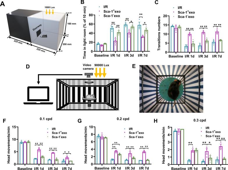 https://cdn.ncbi.nlm.nih.gov/pmc/blobs/f42a/10268362/3afde623ab3e/12951_2023_1944_Fig2_HTML.jpg