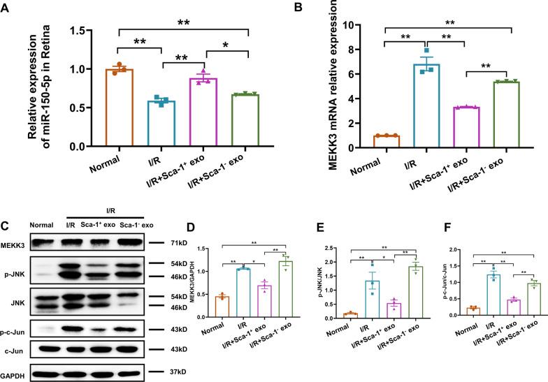 https://cdn.ncbi.nlm.nih.gov/pmc/blobs/f42a/10268362/66cb1ab862c8/12951_2023_1944_Fig7_HTML.jpg