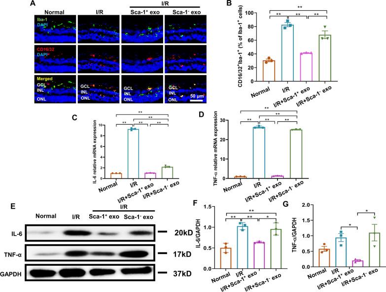 https://cdn.ncbi.nlm.nih.gov/pmc/blobs/f42a/10268362/acd594a99197/12951_2023_1944_Fig4_HTML.jpg