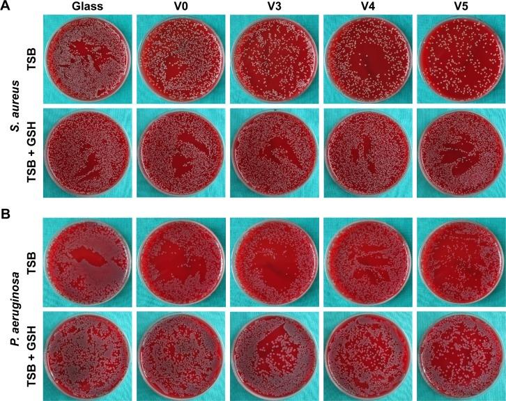https://cdn.ncbi.nlm.nih.gov/pmc/blobs/f42a/5402895/96347a6e32db/ijn-12-3121Fig5.jpg