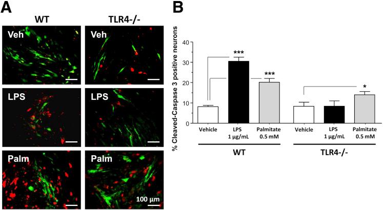 https://cdn.ncbi.nlm.nih.gov/pmc/blobs/f42c/5042510/95ebd1287ab7/gr6.jpg