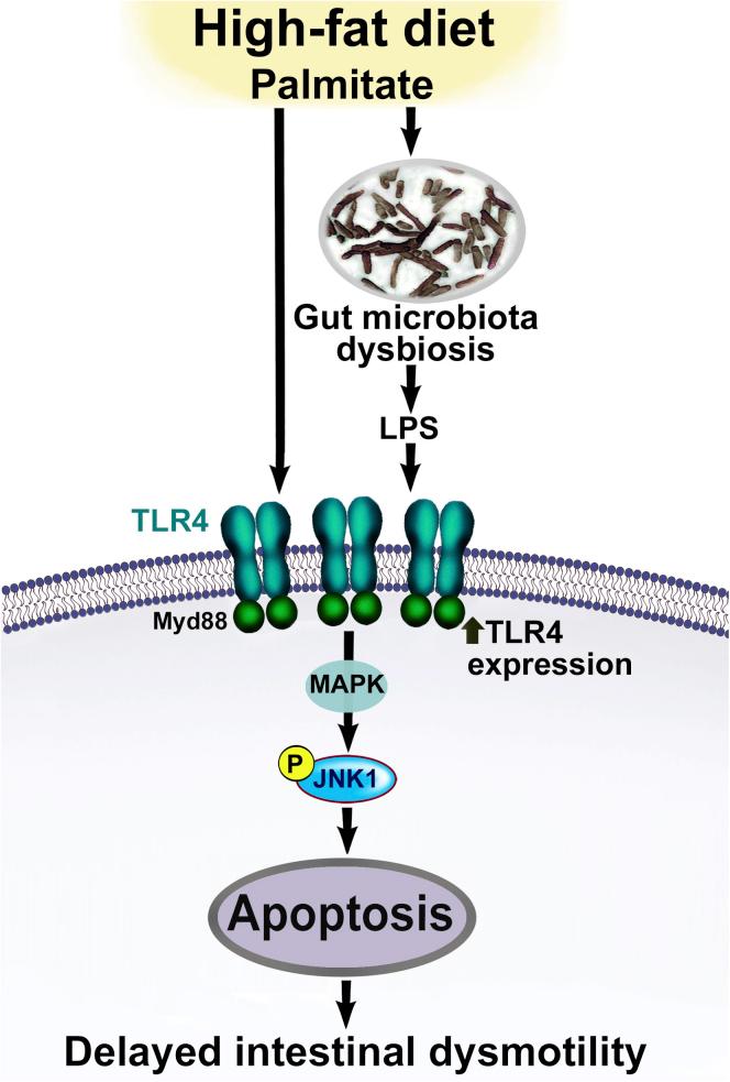 https://cdn.ncbi.nlm.nih.gov/pmc/blobs/f42c/5042510/d72c510731d7/gr7.jpg