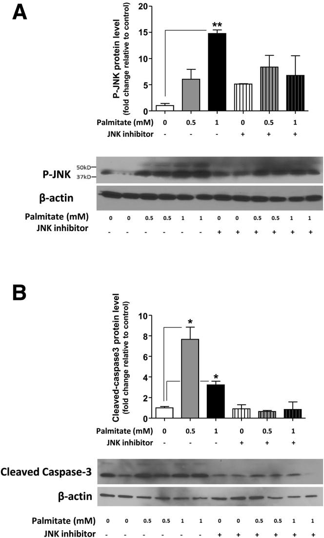 https://cdn.ncbi.nlm.nih.gov/pmc/blobs/f42c/5042510/d8d82a7e7114/gr5.jpg