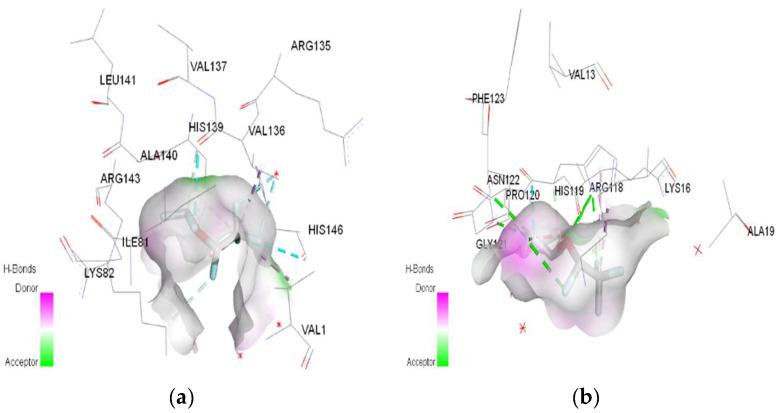 https://cdn.ncbi.nlm.nih.gov/pmc/blobs/f42d/11083261/7ac311c4e57f/ijms-25-04701-g006.jpg