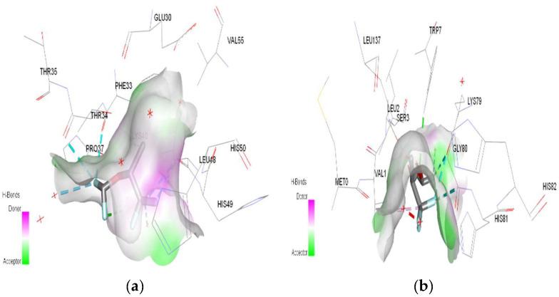 https://cdn.ncbi.nlm.nih.gov/pmc/blobs/f42d/11083261/9e0b95feac58/ijms-25-04701-g009.jpg
