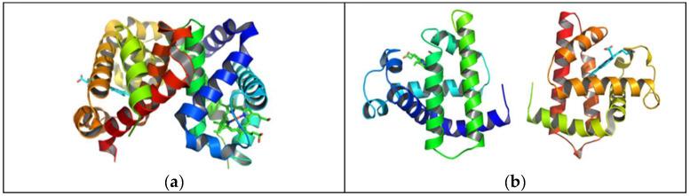 https://cdn.ncbi.nlm.nih.gov/pmc/blobs/f42d/11083261/c020b843cc07/ijms-25-04701-g001.jpg