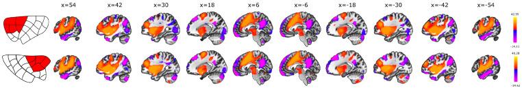 https://cdn.ncbi.nlm.nih.gov/pmc/blobs/f42d/11352390/8a45f67f442a/brainsci-14-00742-g003.jpg