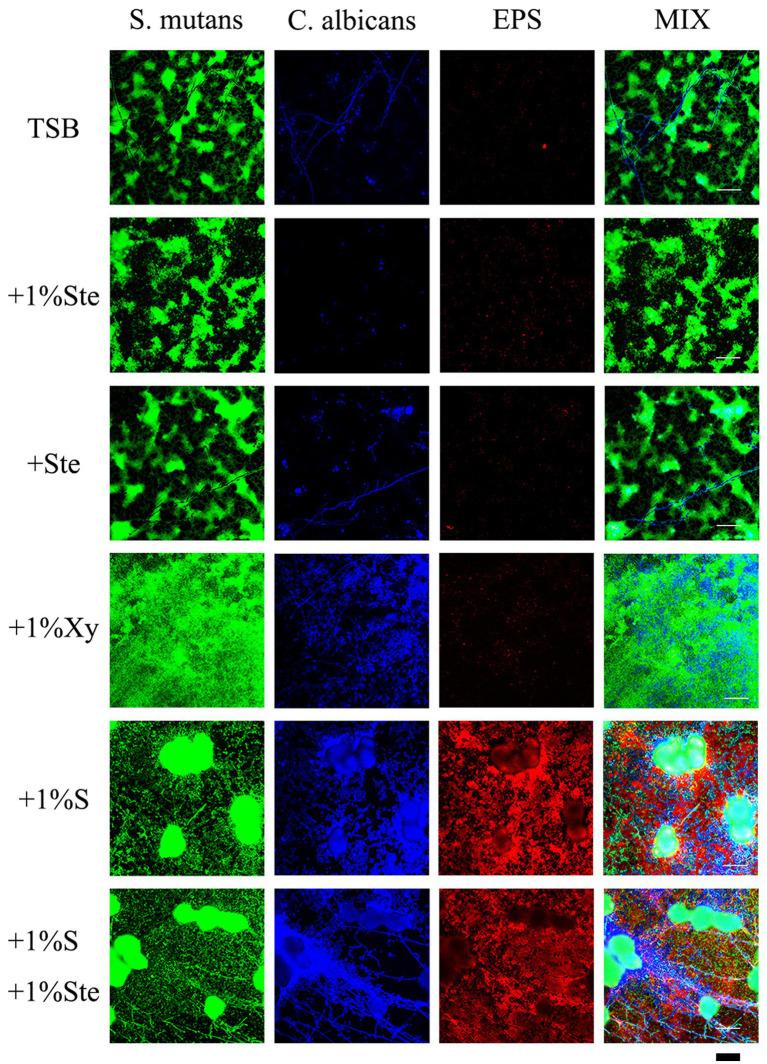 https://cdn.ncbi.nlm.nih.gov/pmc/blobs/f42e/10113668/96f6c3fbd9b0/fmicb-14-1128668-g005.jpg
