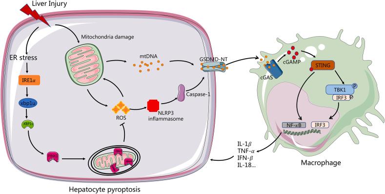 https://cdn.ncbi.nlm.nih.gov/pmc/blobs/f42f/8971356/f3d5fa076644/gr8.jpg