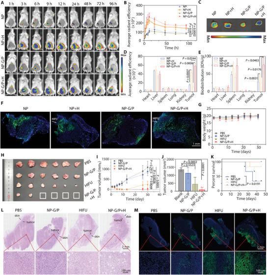 https://cdn.ncbi.nlm.nih.gov/pmc/blobs/f430/11022700/79e8ae06569a/ADVS-11-2305546-g007.jpg