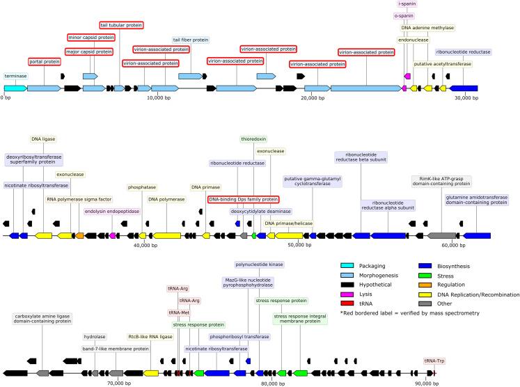 https://cdn.ncbi.nlm.nih.gov/pmc/blobs/f430/7881722/1251e92e4394/peerj-09-10645-g003.jpg