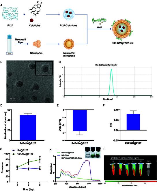 https://cdn.ncbi.nlm.nih.gov/pmc/blobs/f432/11632155/013f555477d9/bmr.0089.fig.006.jpg