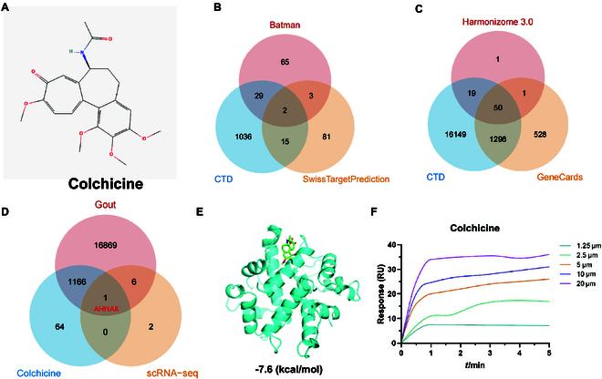 https://cdn.ncbi.nlm.nih.gov/pmc/blobs/f432/11632155/33c19ed1da65/bmr.0089.fig.004.jpg