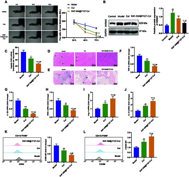 https://cdn.ncbi.nlm.nih.gov/pmc/blobs/f432/11632155/c195a846ae83/bmr.0089.fig.009.jpg
