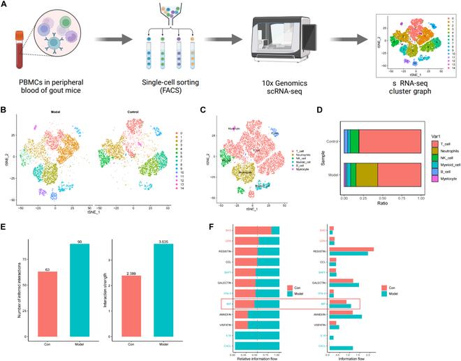 https://cdn.ncbi.nlm.nih.gov/pmc/blobs/f432/11632155/e65883c7232f/bmr.0089.fig.002.jpg