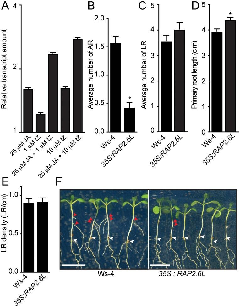 https://cdn.ncbi.nlm.nih.gov/pmc/blobs/f432/8547155/d664f1368a61/erab358f0004.jpg