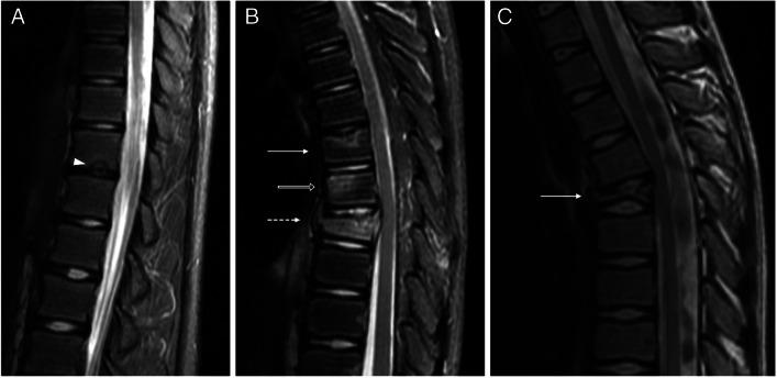 https://cdn.ncbi.nlm.nih.gov/pmc/blobs/f433/11579154/17cefcb79e0d/247_2024_6079_Fig1_HTML.jpg