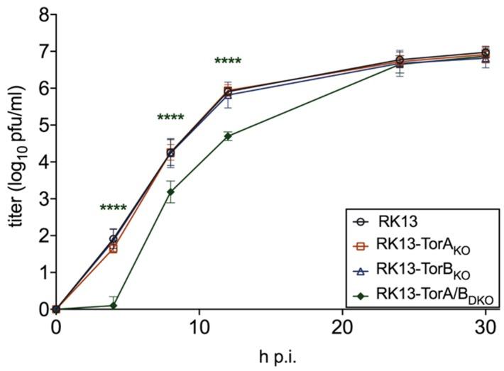 https://cdn.ncbi.nlm.nih.gov/pmc/blobs/f434/7140721/13123d03dac6/cells-09-00738-g008.jpg
