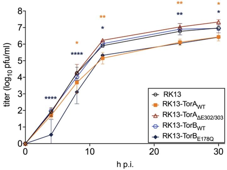 https://cdn.ncbi.nlm.nih.gov/pmc/blobs/f434/7140721/a5c0067673d4/cells-09-00738-g006.jpg