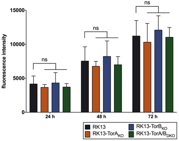 https://cdn.ncbi.nlm.nih.gov/pmc/blobs/f434/7140721/aedac7769561/cells-09-00738-g007.jpg