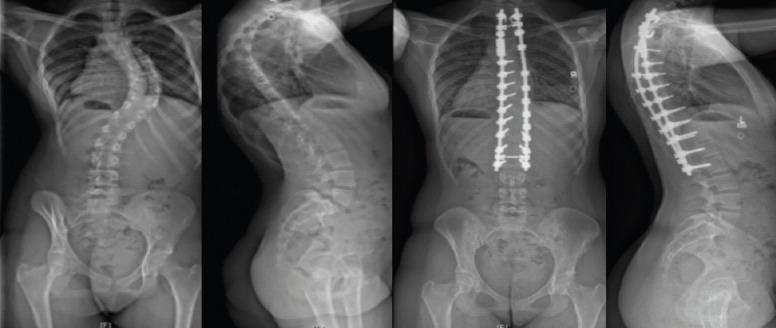 https://cdn.ncbi.nlm.nih.gov/pmc/blobs/f435/12237445/df9f126fa350/JOCR-15-282-g001.jpg