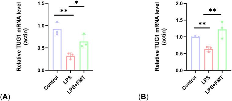 https://cdn.ncbi.nlm.nih.gov/pmc/blobs/f438/12021831/9b1250993952/fcimb-15-1535666-g008.jpg