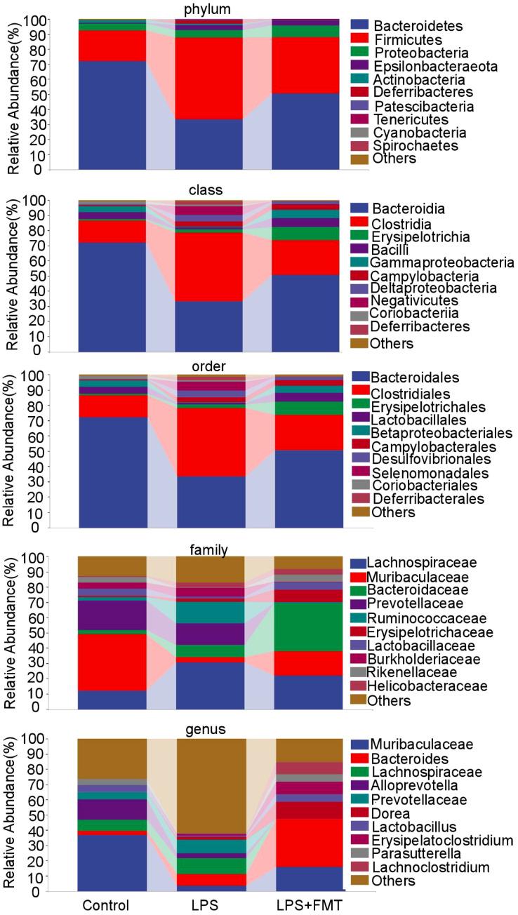https://cdn.ncbi.nlm.nih.gov/pmc/blobs/f438/12021831/ce3099ac8677/fcimb-15-1535666-g006.jpg