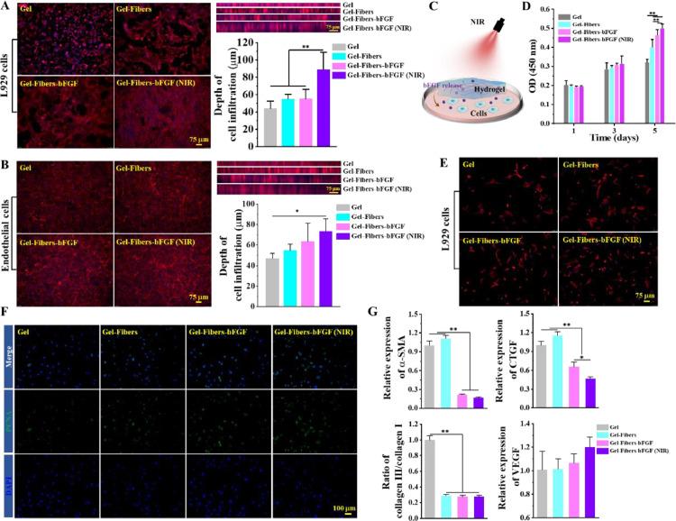 https://cdn.ncbi.nlm.nih.gov/pmc/blobs/f43c/12335949/514ef9b23a1b/gr6.jpg