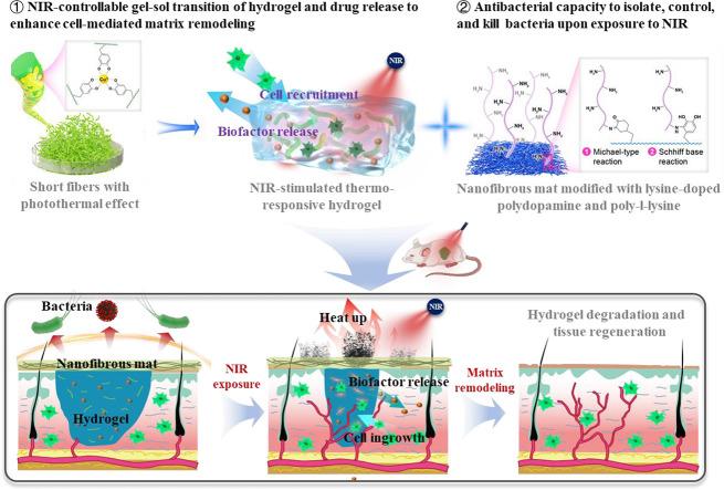 https://cdn.ncbi.nlm.nih.gov/pmc/blobs/f43c/12335949/60ca1db7584f/ga1.jpg