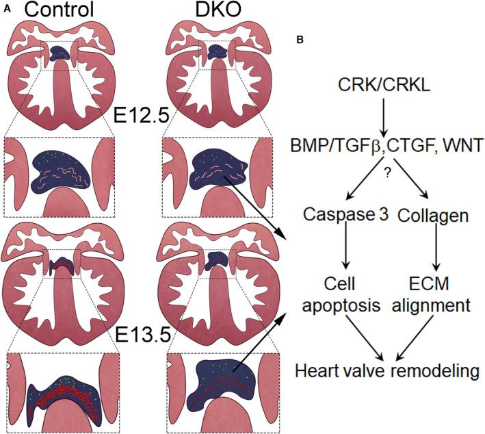 https://cdn.ncbi.nlm.nih.gov/pmc/blobs/f43d/10547300/e8bf791344aa/JAH3-12-e029683-g002.jpg