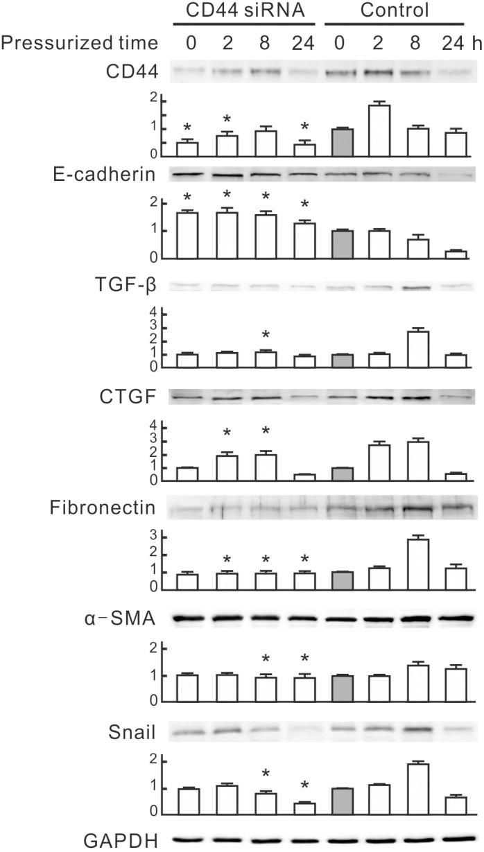 https://cdn.ncbi.nlm.nih.gov/pmc/blobs/f43d/4068774/25a66cc7cd13/pone.0099802.g005.jpg