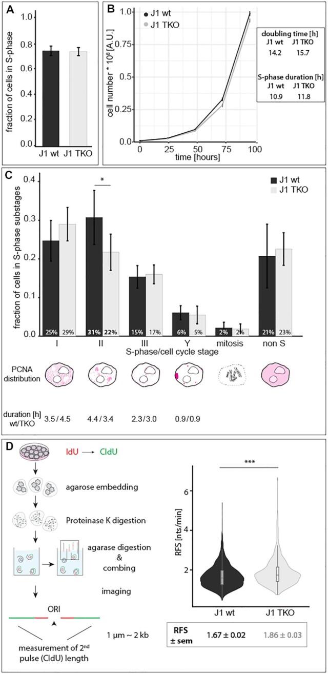 https://cdn.ncbi.nlm.nih.gov/pmc/blobs/f43d/8682791/c0c81c38dd24/gkab509fig7.jpg