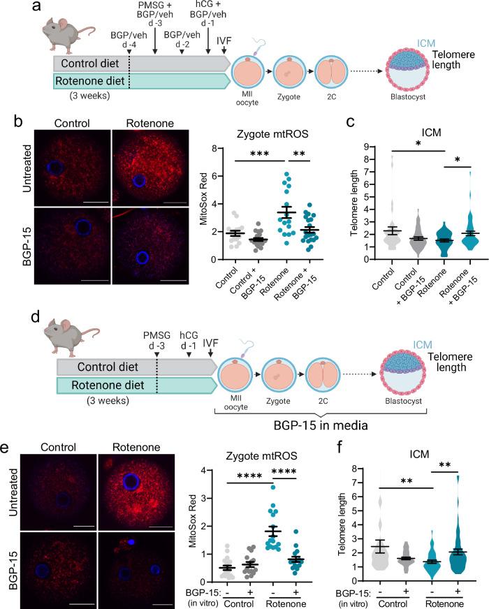 https://cdn.ncbi.nlm.nih.gov/pmc/blobs/f442/11909127/42dcdb20f7ec/41467_2025_57794_Fig5_HTML.jpg