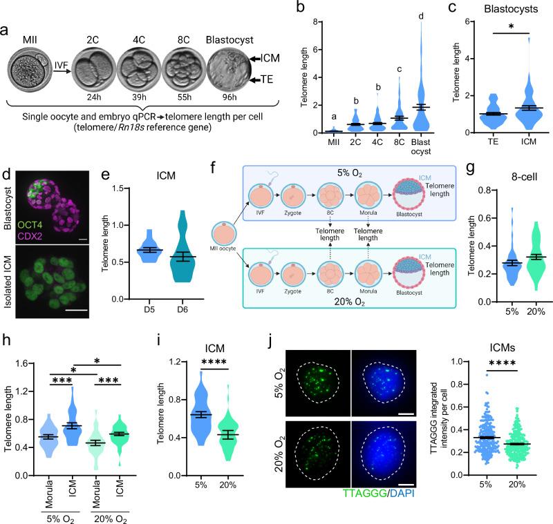 https://cdn.ncbi.nlm.nih.gov/pmc/blobs/f442/11909127/72193c154156/41467_2025_57794_Fig1_HTML.jpg