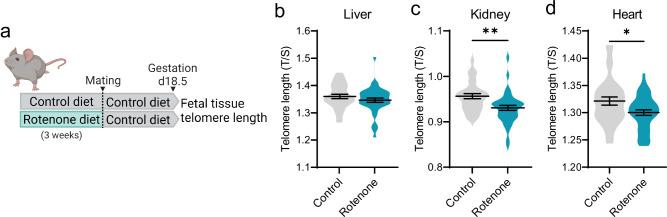 https://cdn.ncbi.nlm.nih.gov/pmc/blobs/f442/11909127/82292d51d764/41467_2025_57794_Fig3_HTML.jpg