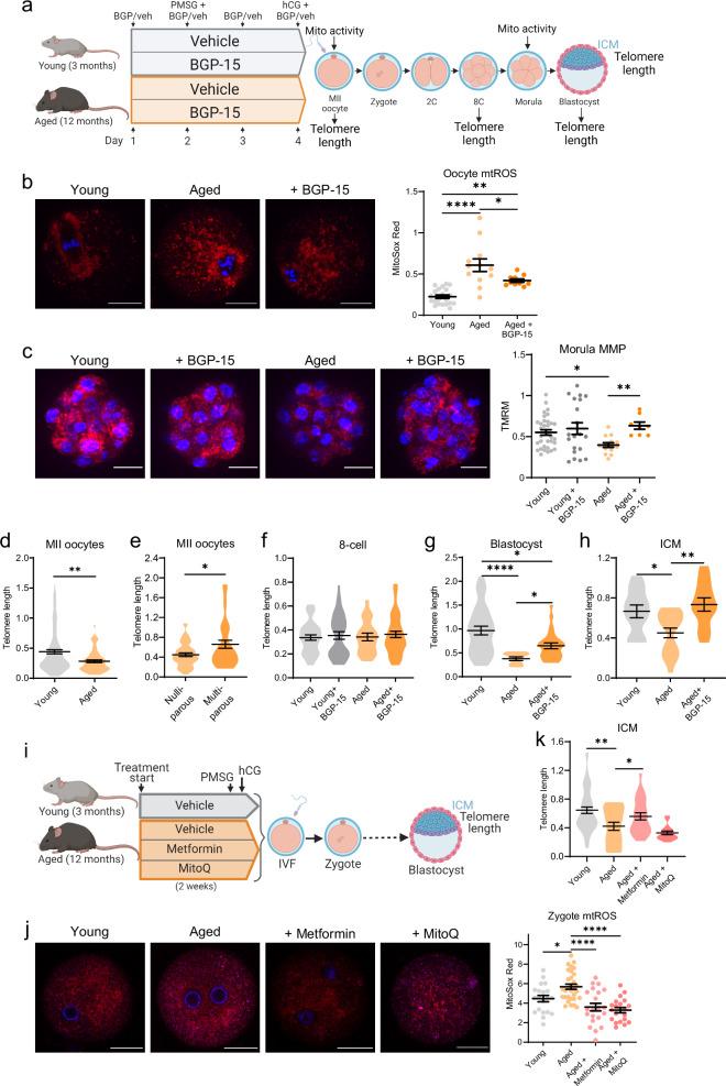 https://cdn.ncbi.nlm.nih.gov/pmc/blobs/f442/11909127/a983bb785eed/41467_2025_57794_Fig7_HTML.jpg