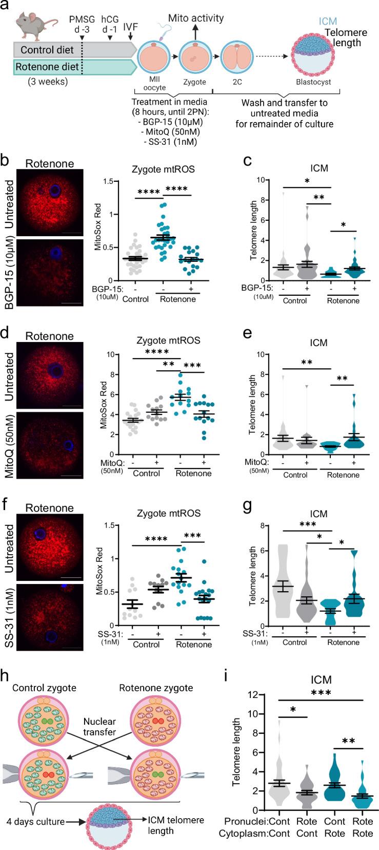 https://cdn.ncbi.nlm.nih.gov/pmc/blobs/f442/11909127/c3f5c038adef/41467_2025_57794_Fig6_HTML.jpg