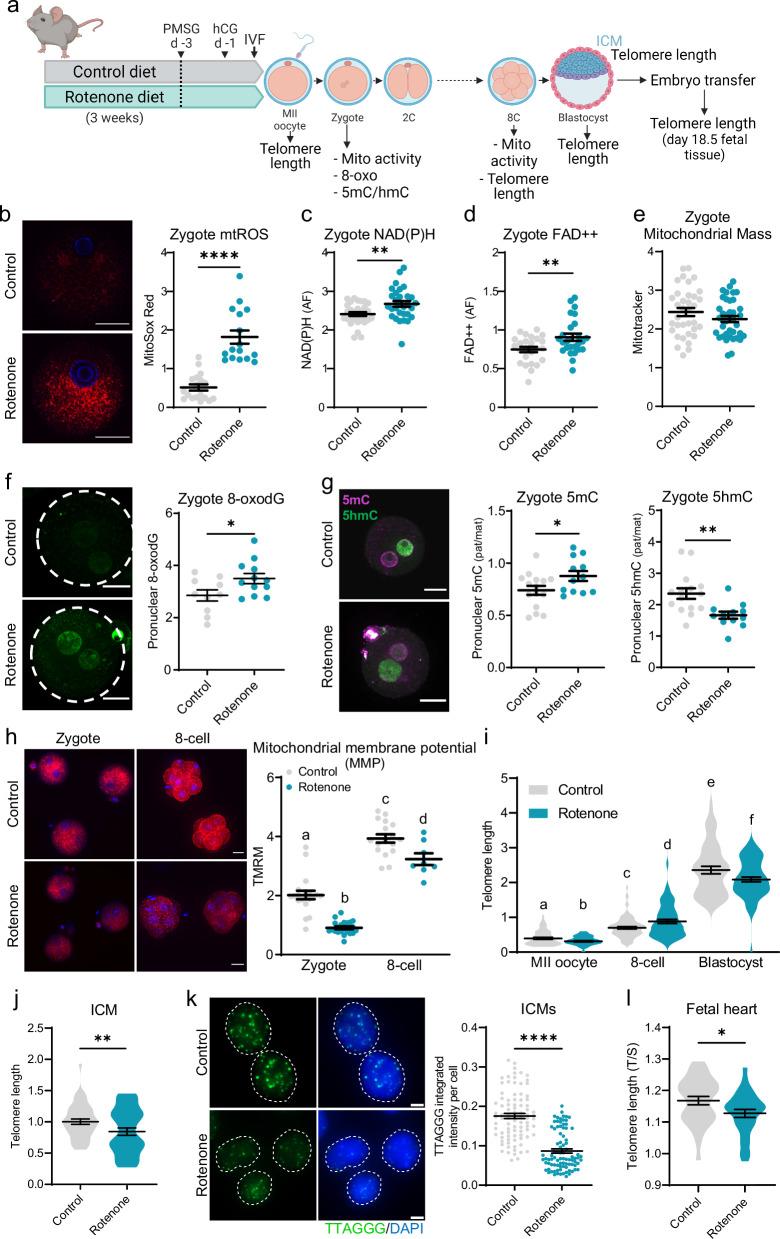 https://cdn.ncbi.nlm.nih.gov/pmc/blobs/f442/11909127/e78d1f18913a/41467_2025_57794_Fig4_HTML.jpg